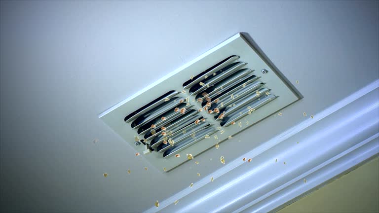 Best Affordable Duct Cleaning Services  in Homewood, IL