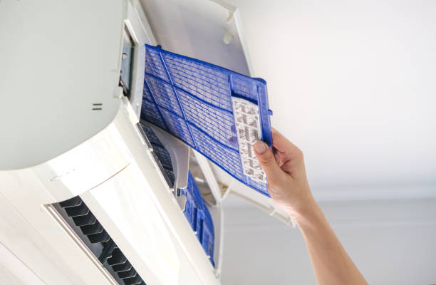 Best Air Duct Sanitizing Services  in Homewood, IL